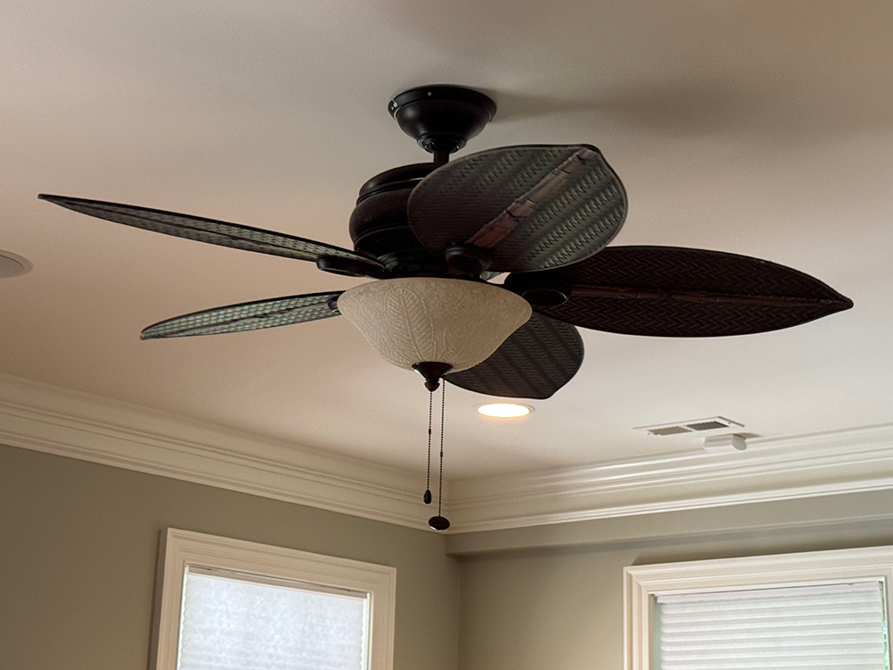 BR6 fan_1000 x 750 0326